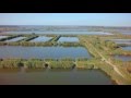 Печенежский рыбхоз (ПРХ) - видеопрезентация