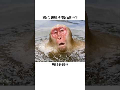 보는 것만으로 숨 멎는 습도 차이 thumbnail