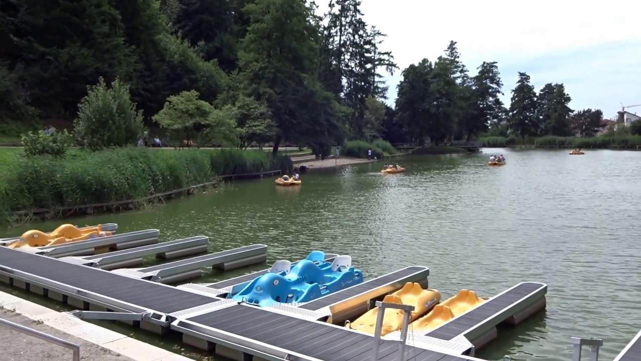 Sommer Sonne See Boote Tretbote Anleger Freizeit Ausflug Waldkirch