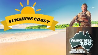 Exploring Australia 's best Zoo And More In Sunshine Coast