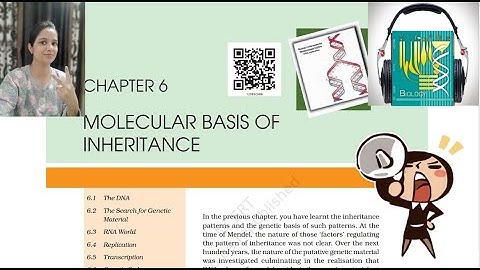 Ch 6 Molecular Basis Of Inheritance Class 12 NCERT AudioBook |Class 12 NCERT Audio Book|NCERT|Part 2