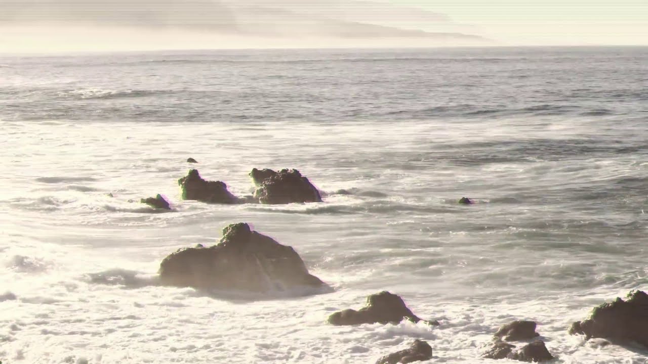 Jason Payne - Never Let Go [OUT NOW]