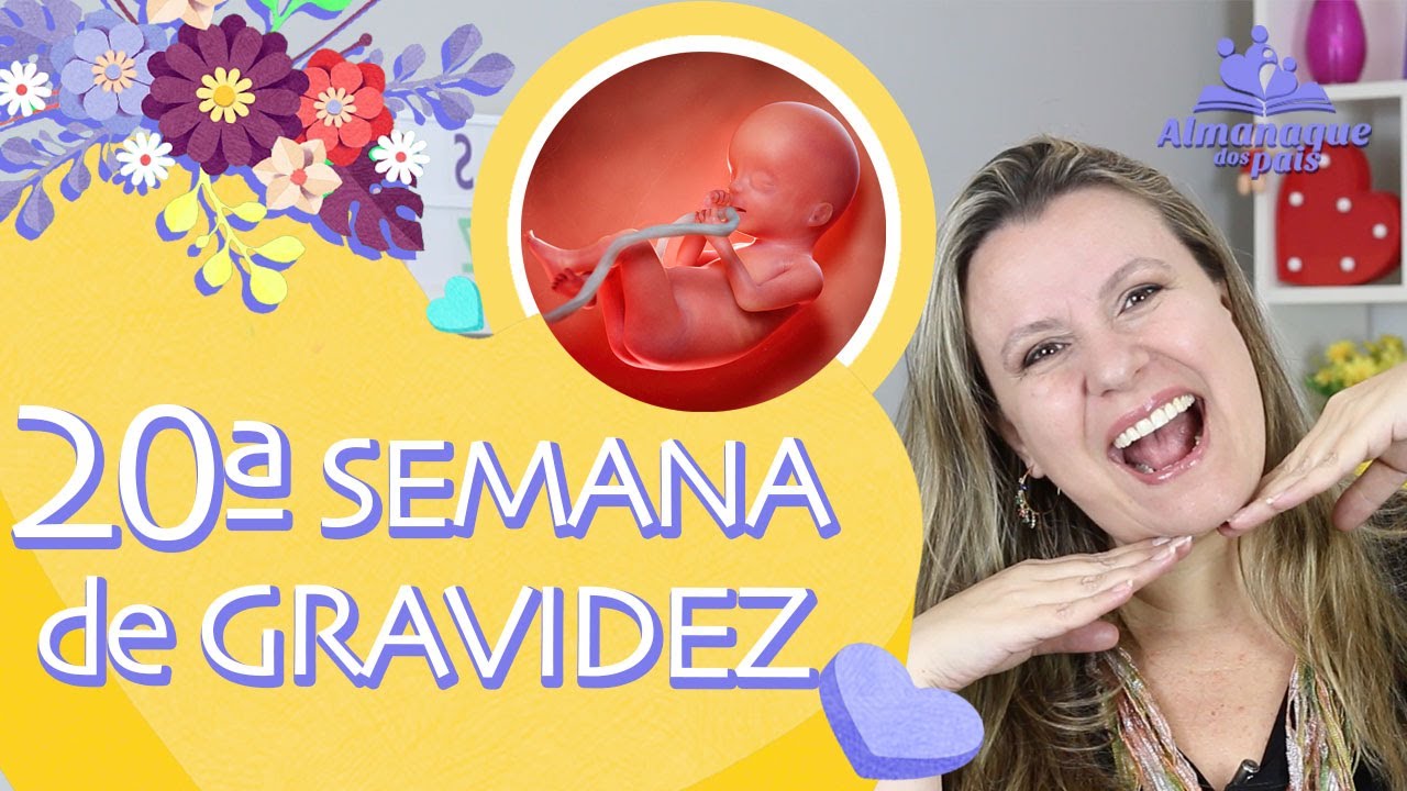 20ª SEMANA DE GESTAÇÃO | Sintomas, Seu corpo, Tamanho do bebê | 2º TRIMESTRE DE GRAVIDEZ