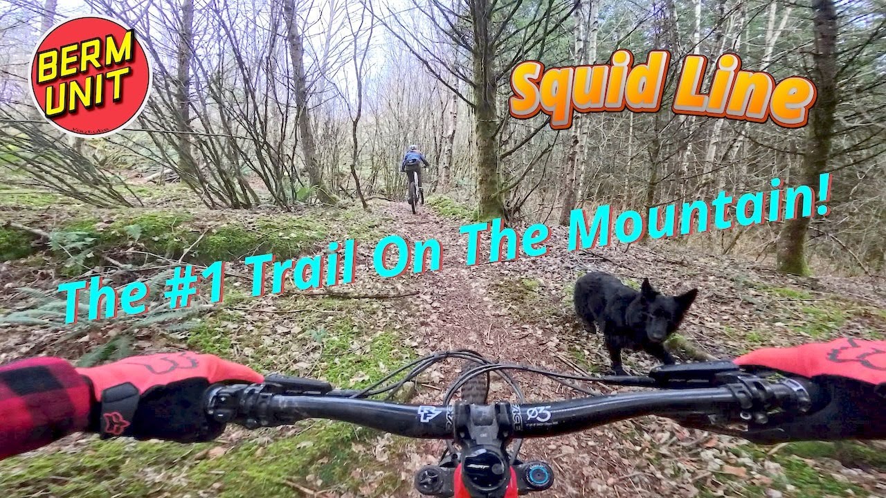 Year Of The Squid - Squid Line - Sumas Mtn. - Abbotsford, British Columbia, Canada