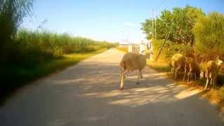 Zakynthos Via Eyecam Eyecam Preview