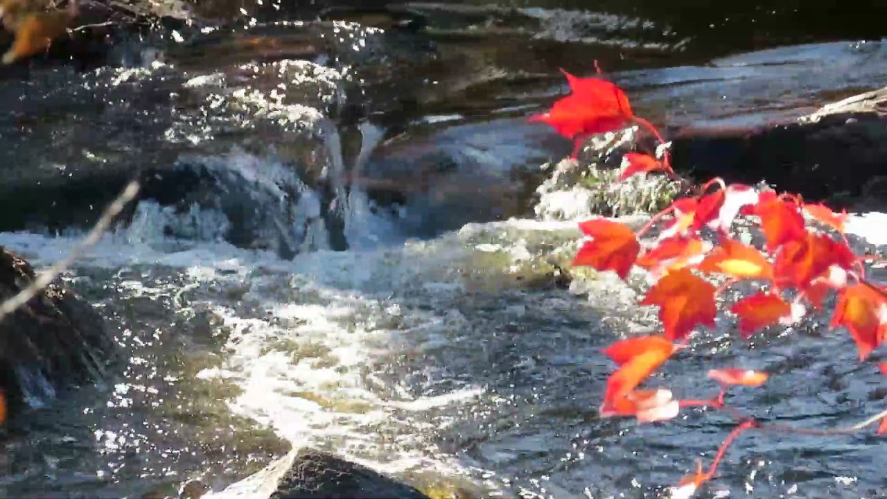 Enliven Music 17, Imposing Music, Meditation and Relaxing, Study and Spa, Yoga, Deep Sleep Music