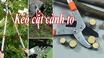 Kéo cắt cành cộng lực tay dài 1,1 mét lưỡi cắt 3,5cm