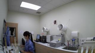 Busy Day in the Sed Lab