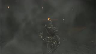 Glaive Master Hodir vs Gwyn