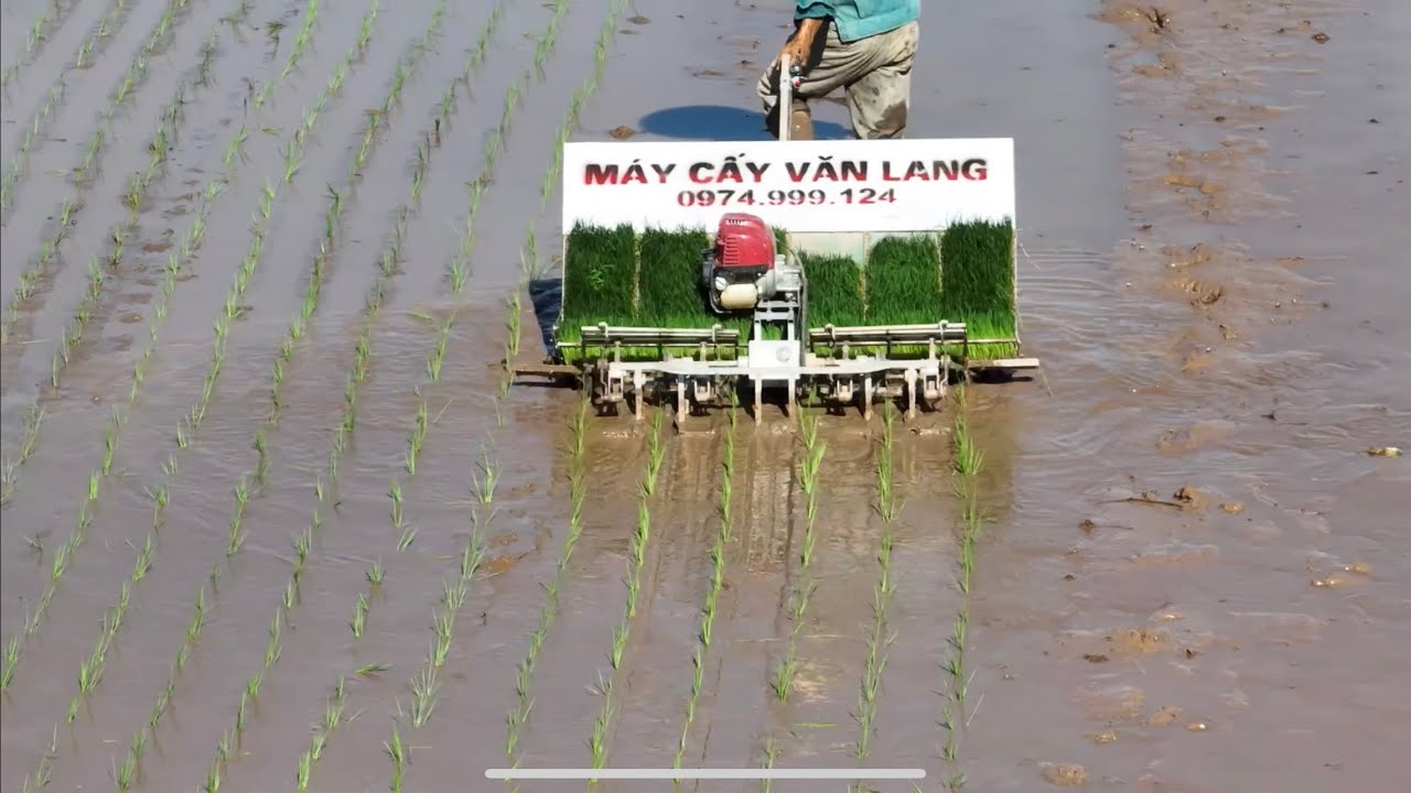 We export 50 Rice Planting Machine to Myanmar Govement - WhatsApp +84 378 785 020