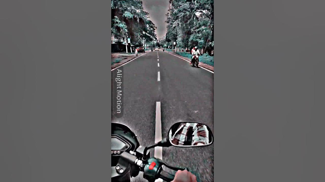 #song #automobile #remix #funnypets #roundtwohell #round2hellround #rider #cuteanimal #funnyanimals