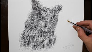 How to Draw an Owl | Amazing Scribble Art Drawing with a Biro Pen