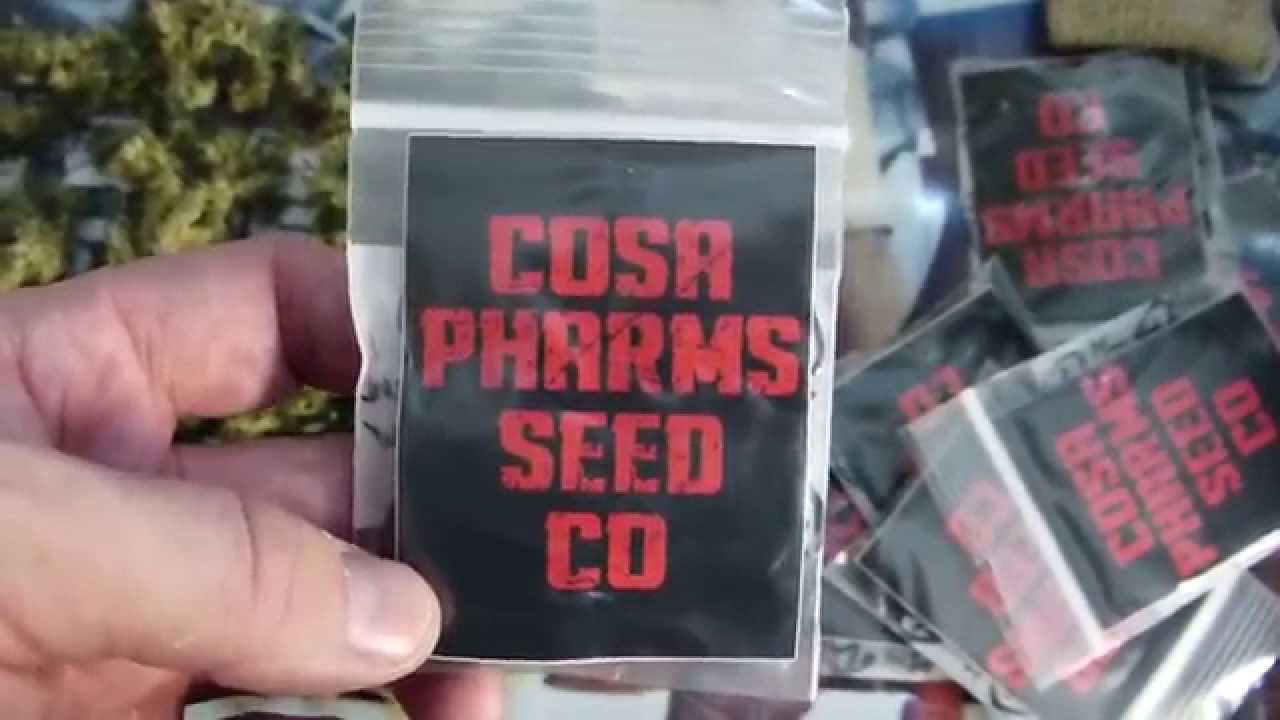 Cosa Pharms Last Call