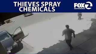 Thieves spray supermarket employee to escape | West Coast Wrap
