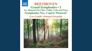 Symphony No. 6 in F Major, Op. 68 "Pastoral" (Arr. J.N. Hummel for Flute & Piano Trio) : II....