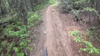 SMD trail in Rossland BC May 2026 