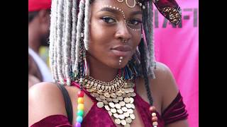Afropunk 2017 In Brooklyn