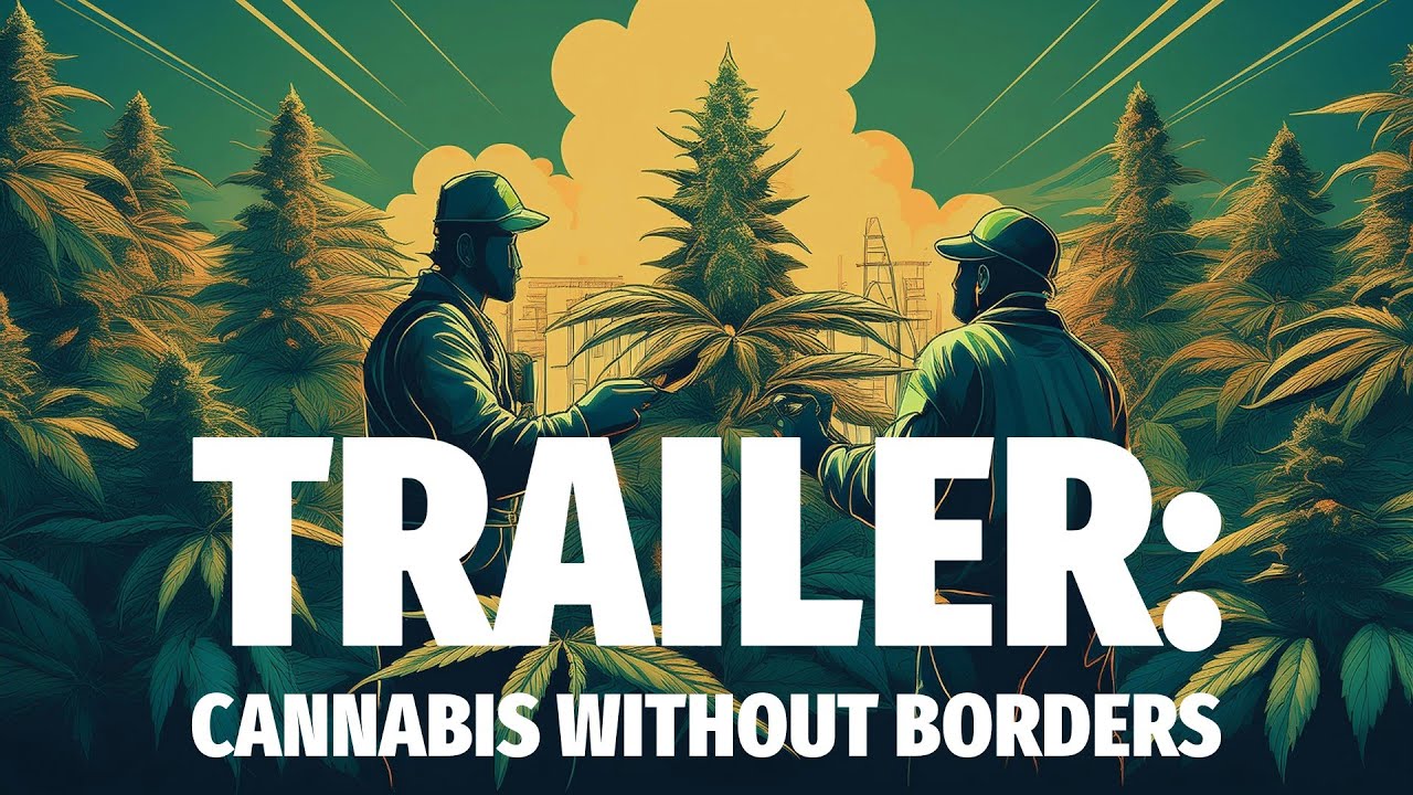 Trailer: Cannabis without borders