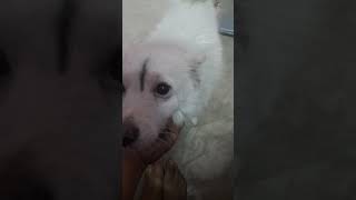 funny 😁 video #youtube #funnyvideo #viral