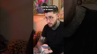 Every Small Dog Does This