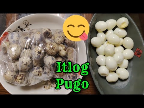 PEELING ITLOG PUGO 😋