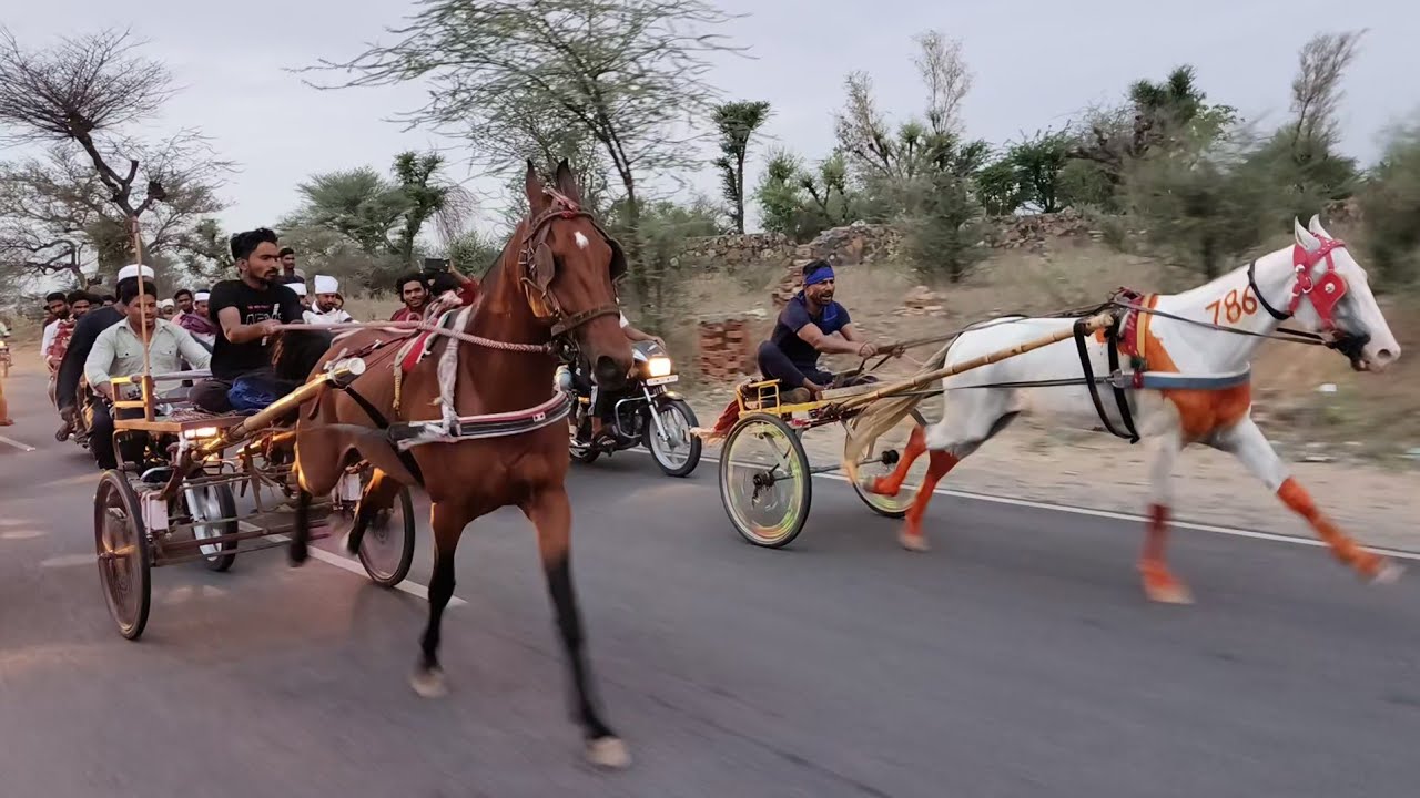 न्यू झुंझुनू हॉर्स रेस 6/5/2025/ विनर लतीफ उस्ताद km.10🥇🏆