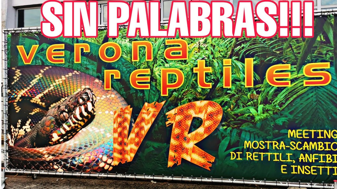 Visita conmigo VERONA REPTILE SHOW la FERIA una feria que te va a enamorar!