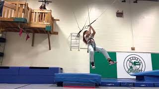 2023 Giant Swing, Trapeze Jump, & More! screenshot 3