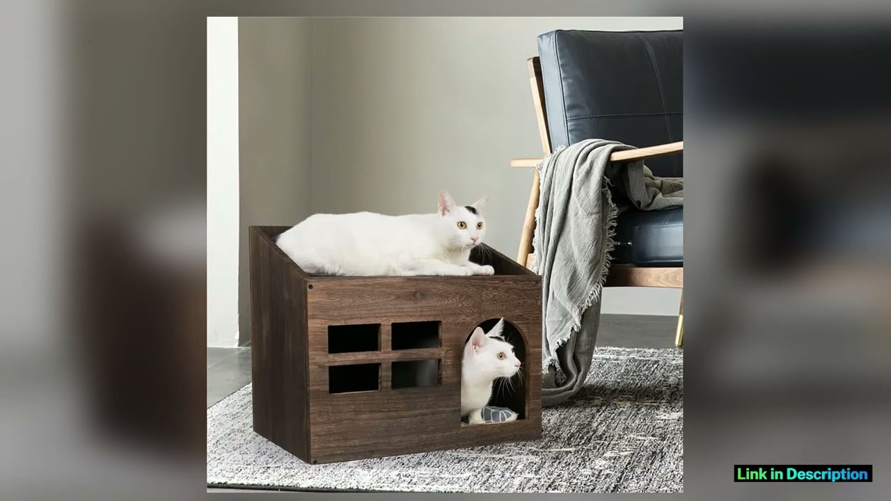 Durable Wooden Cat Cave Bed Furniture Kitten Sleep Lounge House Bed with Cushion Pad Litter Box
