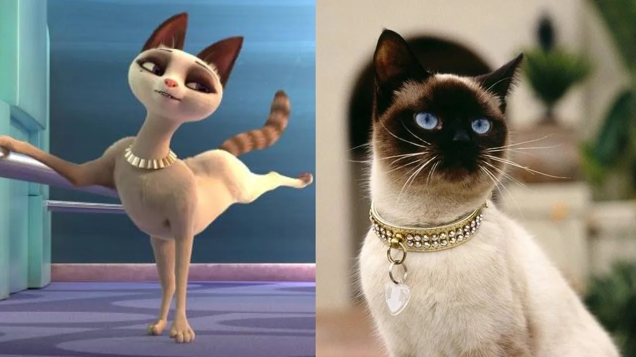 Pets United Characters in Real Life