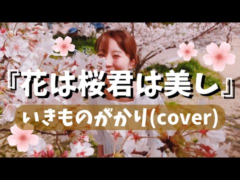 花は桜 君は美し-いきものがかり-／ペコ(cover)