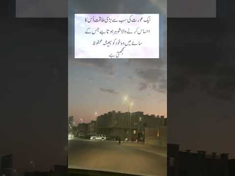 #ytshorts #viralpoetry #banuqudsiaquotes #trendingshorts #poetrylovers