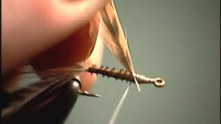 Emerger fly tying video by Shane Stalcup