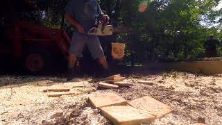 Redfin Stihl MS661 race saw with Squarefile chain test cuts