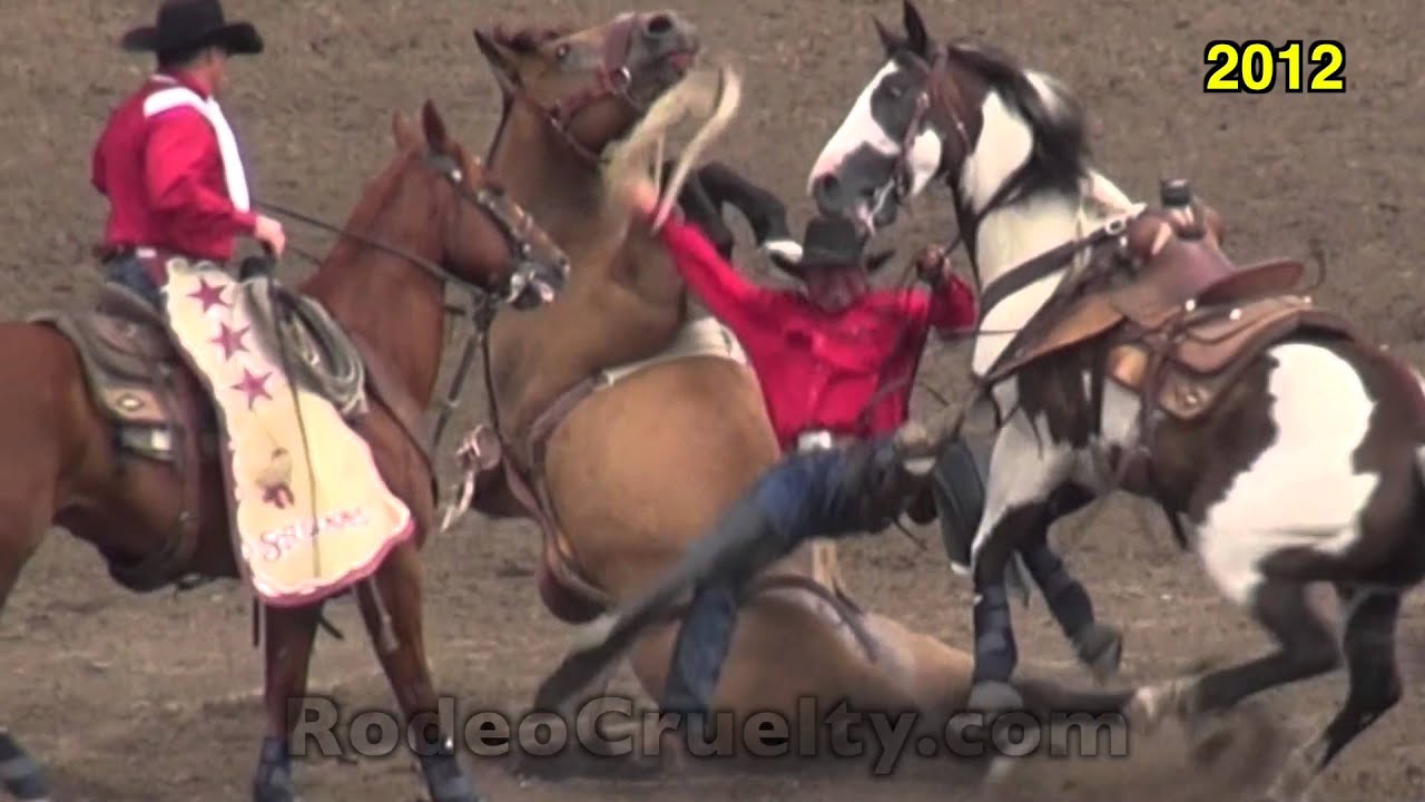 horseshoe bend Aerosmith to Play Another Cruel Rodeo!!!