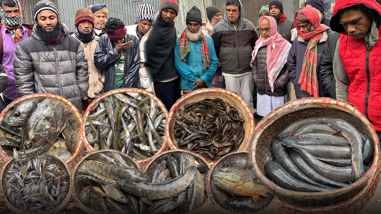 ২৫/১/২০২৫ আজ পর্যন্ত এর চেয়ে সস্তায় আড়িয়াল বিলের মাছ পাওয়া যায়নি সবাই তো অবাক এত সস্তায় মাছ 😱😱😱