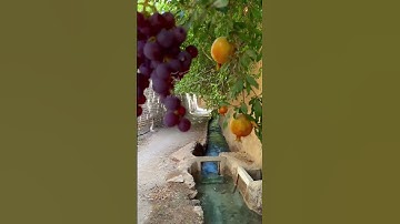  قَالَ وَمَن يَقْنَطُ مِن رَّحْمَةِ رَبِّهِ إِلَّا الضَّالُّونَ...سورة الحجر