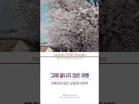 벚꽃과 물이 같이 흐르는 장면ㅣ벚나무 사이의 위천 01