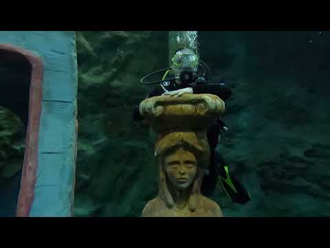 Dive4Life Event am