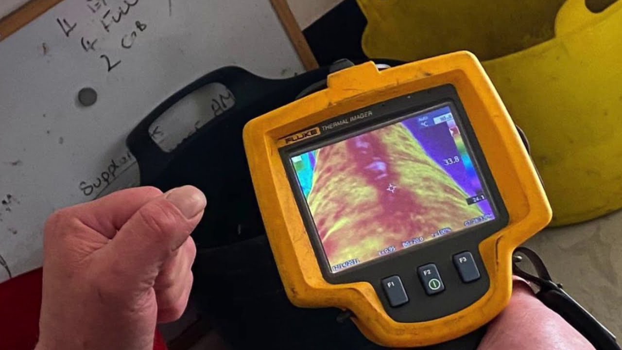 What do we see? ~ Equine Infrared