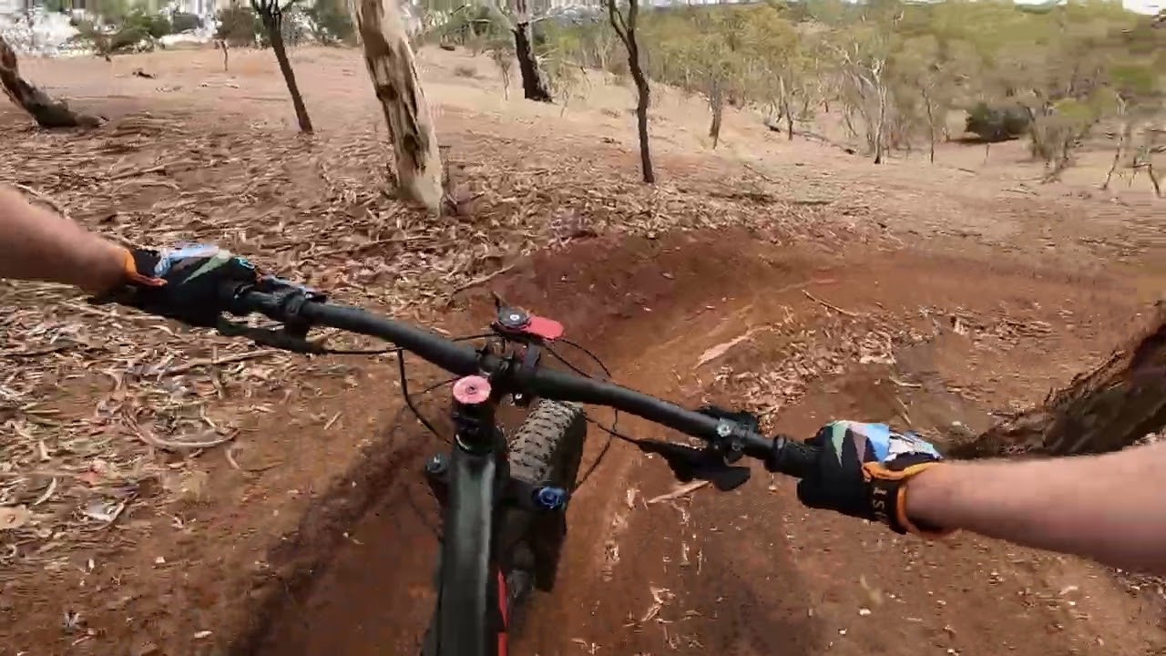 Anstey Hill - Revegetated flow - MTB
