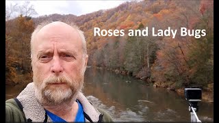 Work to Weekend in Zero Time, vlog of filming Nature, November in West Virginia. Review of Starlink