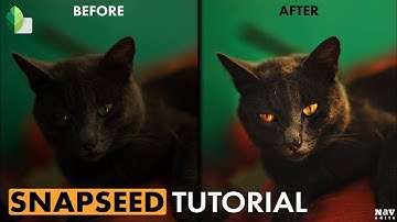 Make the Cat Pictures Pop in SNAPSEED | SNAPSEED TUTORIAL | Android | iPhone