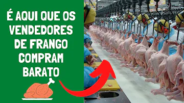Qual frango comprar?