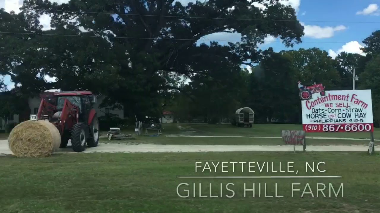 Gillis Hill Farm YouTube