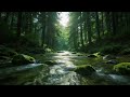 Nature Sounds Waterfall River 🌿 Relaxing Water Flow for Sleeping and Calm Mind