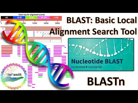 Basic Local Alignment Search Tool: Nucleotide BLAST (BLASTn)
