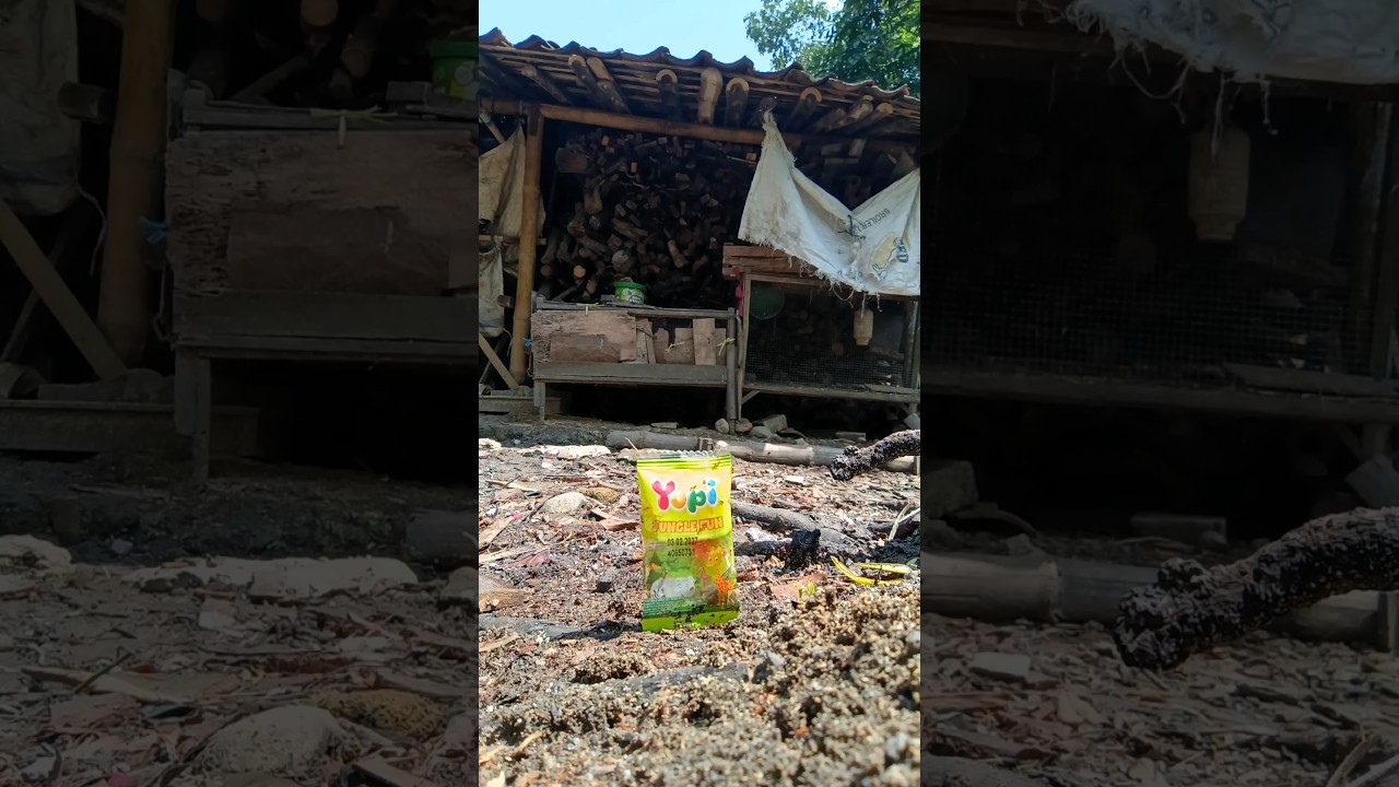 find delicious jelly candy 