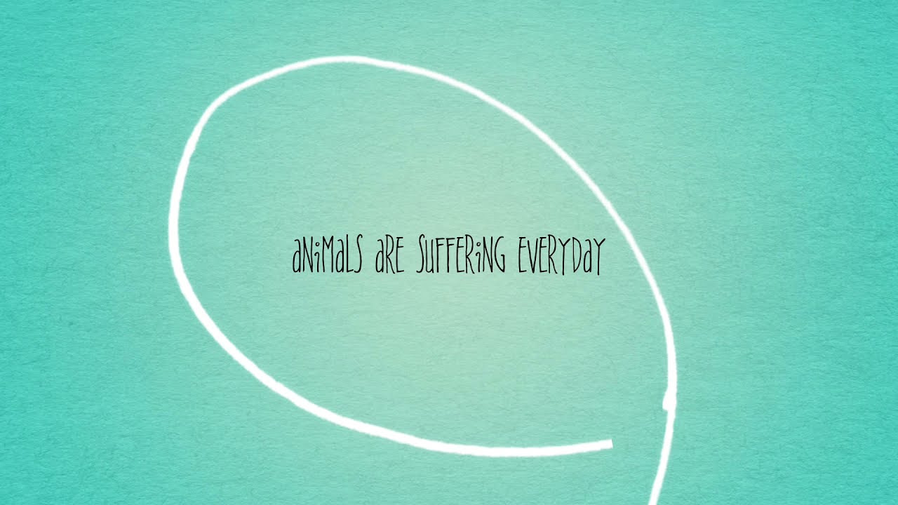 shelter awareness video