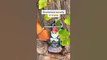 Extreme Geocache Finds With Hullsome 🙂 it was an amazing custom cache in a player’s front yard! ☝🏼